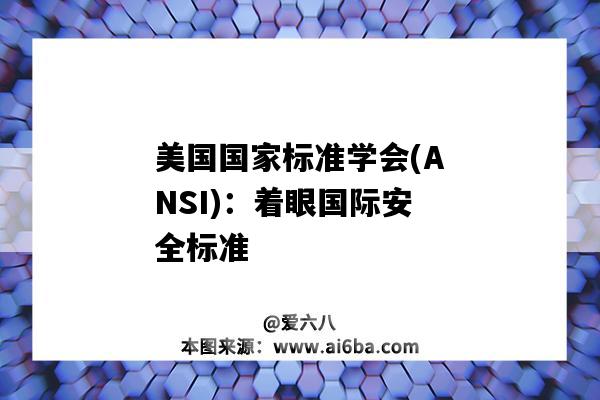 美国国家标准学会(ANSI)：着眼国际安全标准（美国国家标准学会(ANSI)）-图1