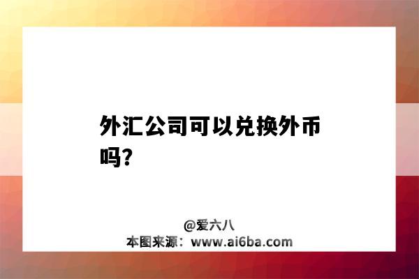 外汇公司可以兑换外币吗？-图1